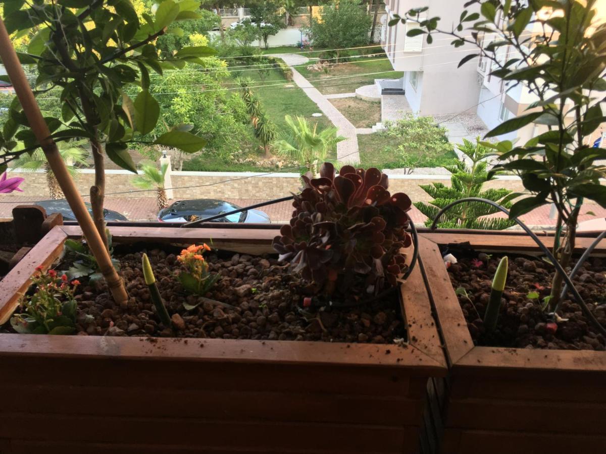 Pansiyon Orange Garden *