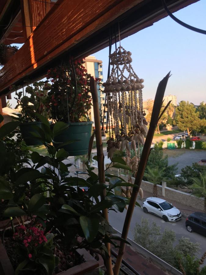 Orange Garden Pansiyon *