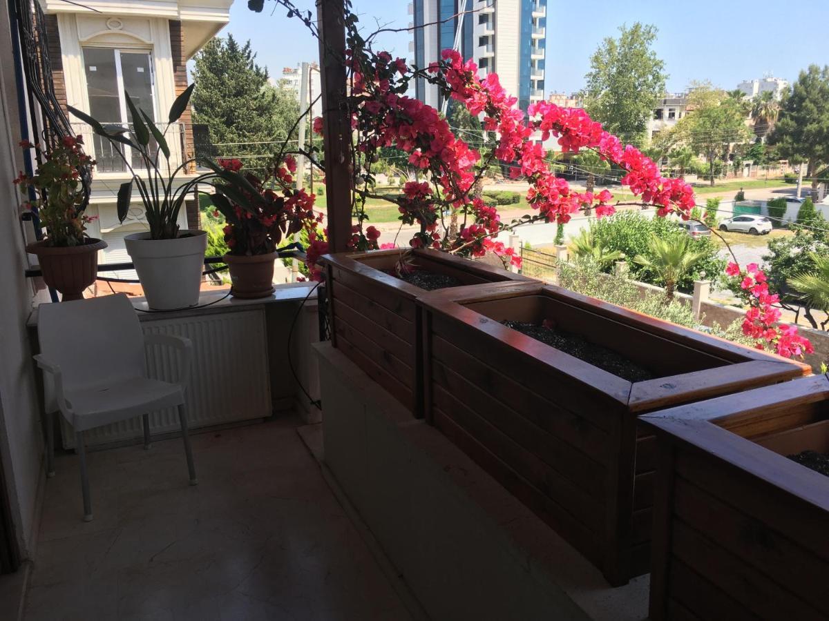 Pansiyon Orange Garden